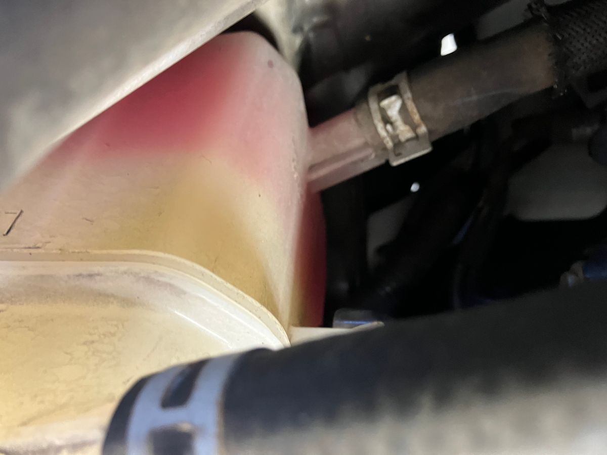 Pink coolant in reservoir indicating possible head gasket contamination on a Gen 3 Prius