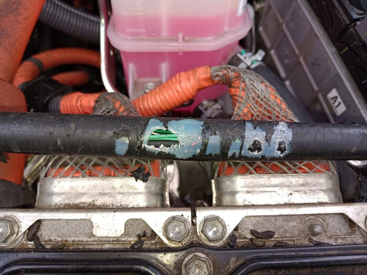 A wiring harness with the insulation chewed through by a rodent