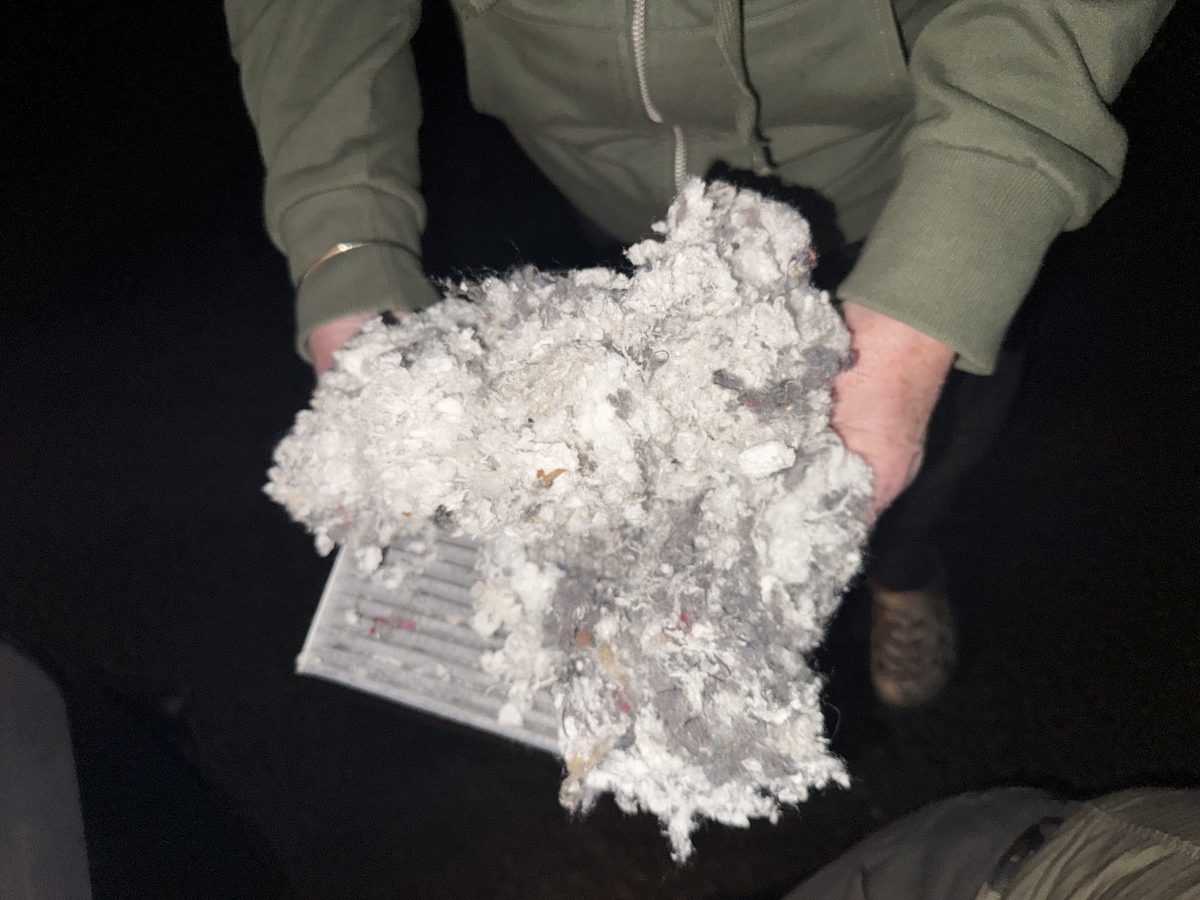 Mouse nesting material pulled out of a Toyota's heater box
